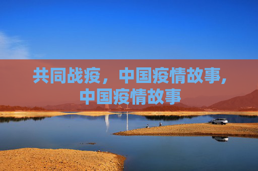 共同战疫，中国疫情故事,中国疫情故事