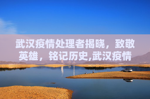 武汉疫情处理者揭晓，致敬英雄，铭记历史,武汉疫情处理者揭晓