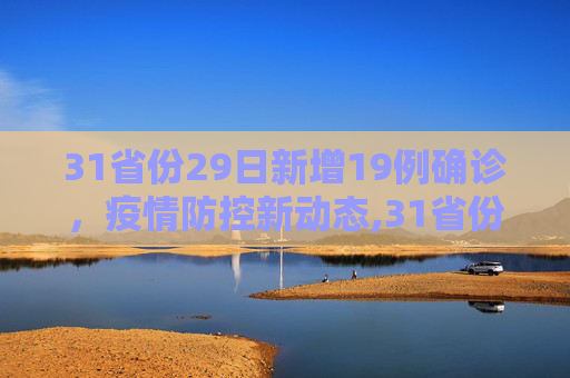 31省份29日新增19例确诊，疫情防控新动态,31省份29日新增19例确诊