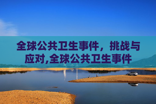 全球公共卫生事件，挑战与应对,全球公共卫生事件