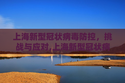 上海新型冠状病毒防控，挑战与应对,上海新型冠状病毒