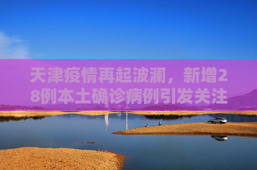 天津疫情再起波澜，新增28例本土确诊病例引发关注,天津新增28例本土确诊病例