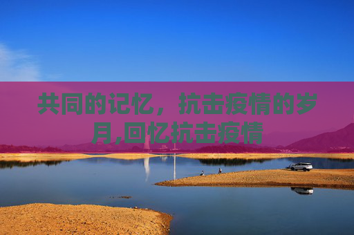 共同的记忆，抗击疫情的岁月,回忆抗击疫情