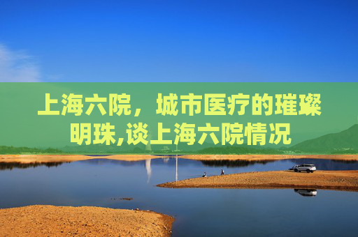 上海六院，城市医疗的璀璨明珠,谈上海六院情况