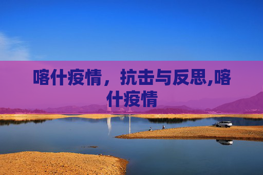 喀什疫情，抗击与反思,喀什疫情