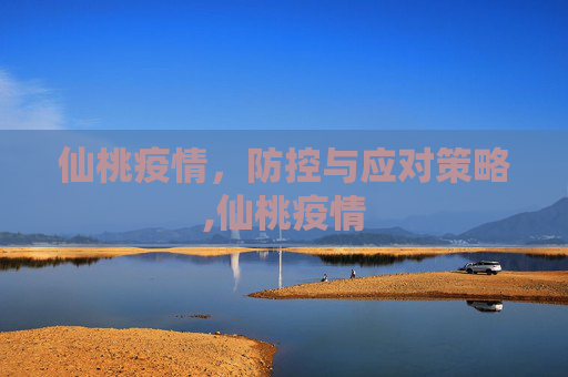 仙桃疫情，防控与应对策略,仙桃疫情