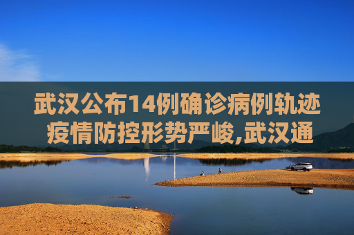 武汉公布14例确诊病例轨迹 疫情防控形势严峻,武汉通报14例确诊病例轨迹