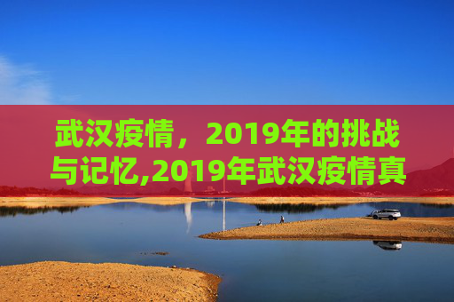 武汉疫情，2019年的挑战与记忆,2019年武汉疫情真实记录