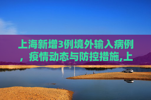 上海新增3例境外输入病例，疫情动态与防控措施,上海新增3例境外输入病例的简单介绍