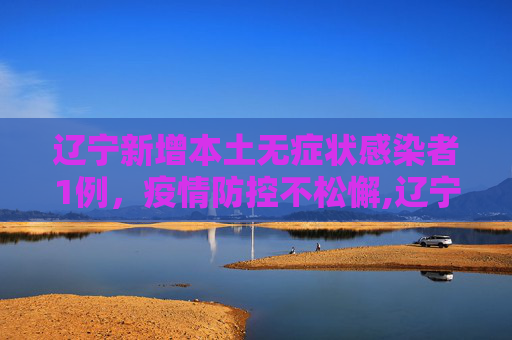 辽宁新增本土无症状感染者1例，疫情防控不松懈,辽宁新增本土无症状1例