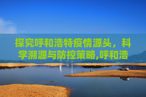 探究呼和浩特疫情源头，科学溯源与防控策略,呼和浩特疫情源头