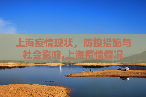 上海疫情现状，防控措施与社会影响,上海疫情情况