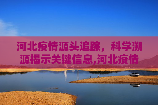河北疫情源头追踪，科学溯源揭示关键信息,河北疫情源头已找到