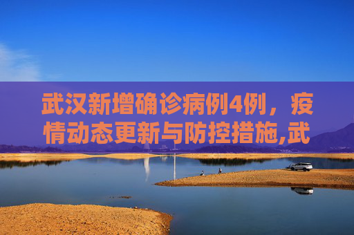 武汉新增确诊病例4例，疫情动态更新与防控措施,武汉新增确诊病例4例
