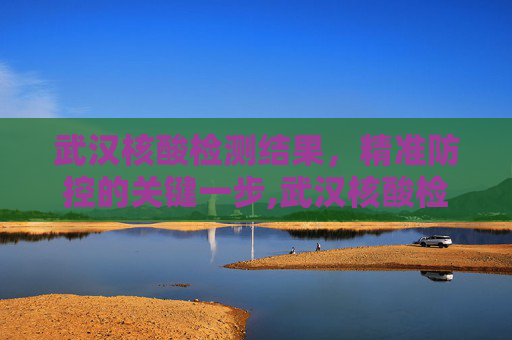 武汉核酸检测结果，精准防控的关键一步,武汉核酸检测结果