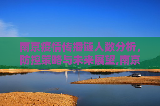 南京疫情传播链人数分析，防控策略与未来展望,南京疫情传播链人数