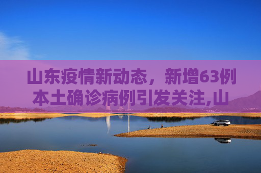 山东疫情新动态，新增63例本土确诊病例引发关注,山东新增63例本土确诊