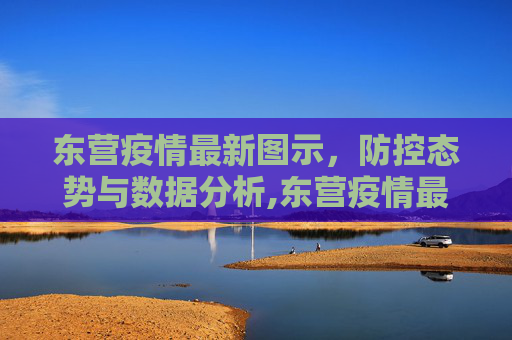 东营疫情最新图示，防控态势与数据分析,东营疫情最新图示