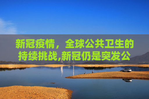 新冠疫情，全球公共卫生的持续挑战,新冠仍是突发公共卫生事件