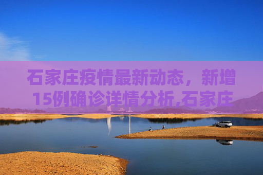 石家庄疫情最新动态，新增15例确诊详情分析,石家庄新增15例确诊详情