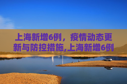 上海新增6例，疫情动态更新与防控措施,上海新增6例
