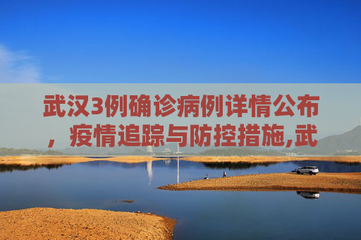 武汉3例确诊病例详情公布，疫情追踪与防控措施,武汉3例确诊病例详情公布