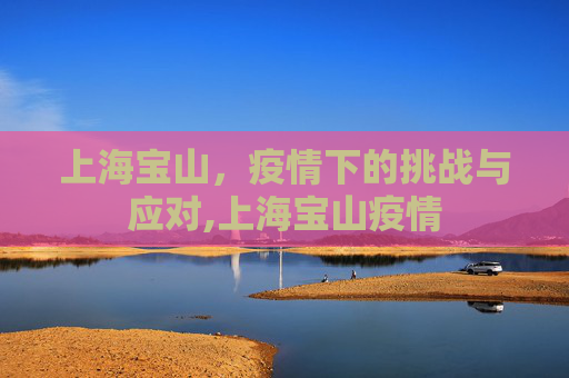 上海宝山，疫情下的挑战与应对,上海宝山疫情
