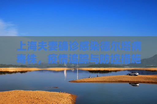 上海夫妻确诊感染德尔塔病毒株，疫情追踪与防控措施,上海确诊夫妻感染病毒株型为德尔塔