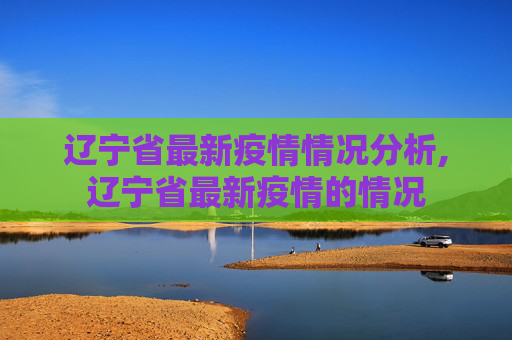 辽宁省最新疫情情况分析,辽宁省最新疫情的情况