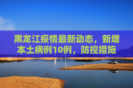 黑龙江疫情最新动态，新增本土病例10例，防控措施加强,黑龙江新增本土10例