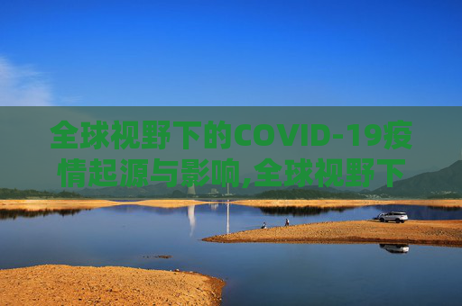 全球视野下的COVID-19疫情起源与影响,全球视野下的COVID19疫情起源与影响