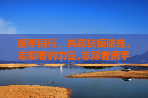 携手同行，共筑抗疫防线，志愿者的力量,志愿者携手共筑抗疫防线