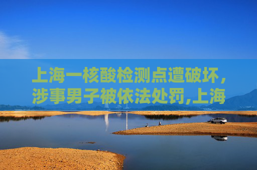 上海一核酸检测点遭破坏，涉事男子被依法处罚,上海一核酸点被砸涉事男子被处罚