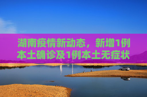 湖南疫情新动态，新增1例本土确诊及1例本土无症状感染者,湖南新增1例本土确诊、1例本土无症状