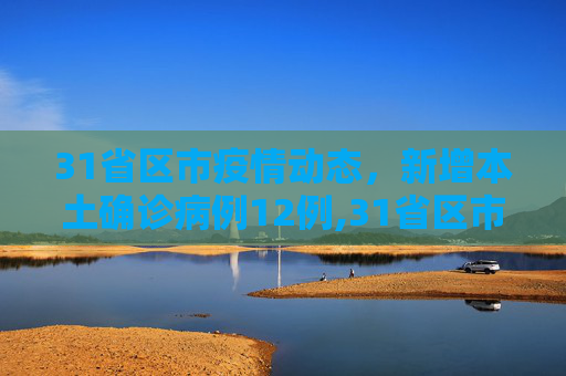 31省区市疫情动态，新增本土确诊病例12例,31省区市新增本土确诊12例