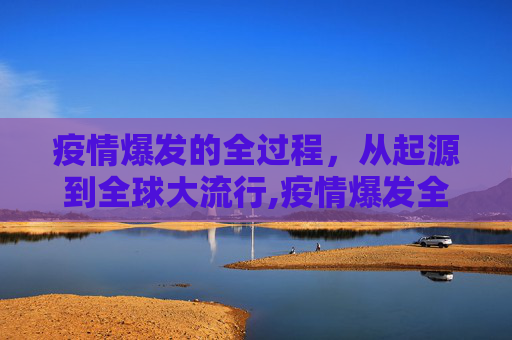 疫情爆发的全过程，从起源到全球大流行,疫情爆发全过程