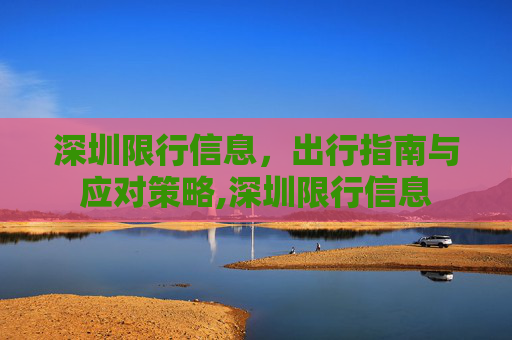 深圳限行信息，出行指南与应对策略,深圳限行信息