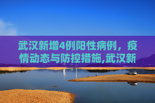武汉新增4例阳性病例，疫情动态与防控措施,武汉新增4例阳性