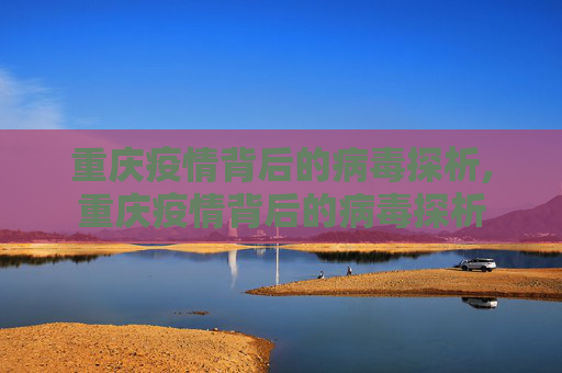 重庆疫情背后的病毒探析,重庆疫情背后的病毒探析