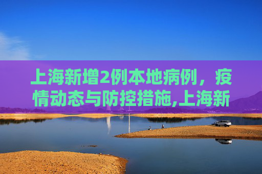 上海新增2例本地病例，疫情动态与防控措施,上海新增2例本地病例的简单介绍