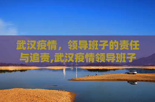 武汉疫情，领导班子的责任与追责,武汉疫情领导班子追责