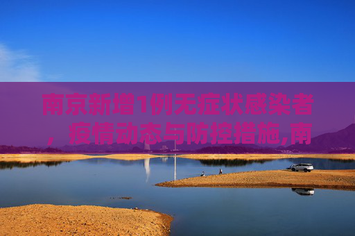 南京新增1例无症状感染者，疫情动态与防控措施,南京新增1例无症状