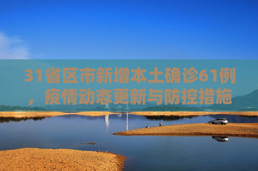 31省区市新增本土确诊61例，疫情动态更新与防控措施,31省区市新增本土确诊61例