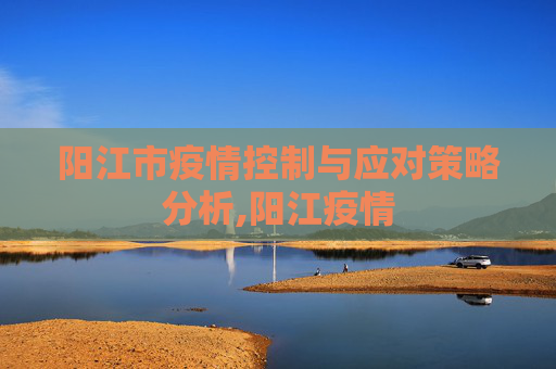 阳江市疫情控制与应对策略分析,阳江疫情